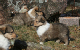 bild11