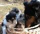 bild12