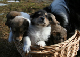 bild13