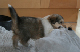 bild14