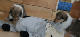 bild15