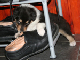 bild16