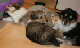 bild17