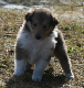 bild2