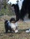 bild3