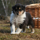 bild4
