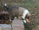 bild7
