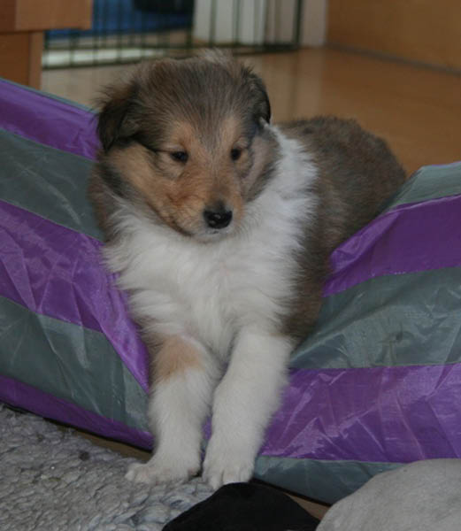 bild4