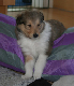 bild4