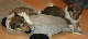 bild7