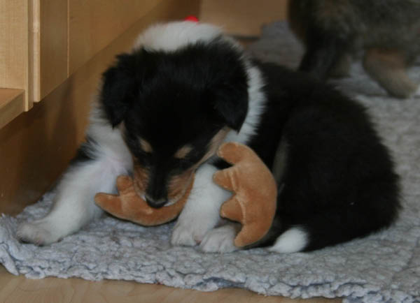 bild1