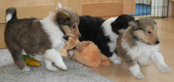 bild2