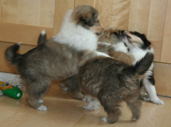 bild3