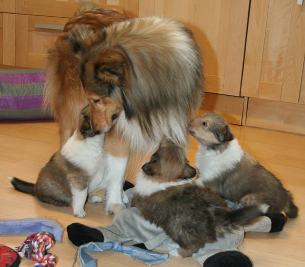 bild6