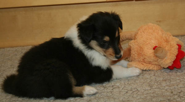 bild9