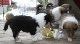 bild10
