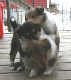 bild11