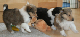 bild2