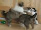 bild3