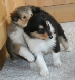 bild4