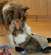 bild5