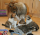bild6