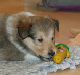 bild7