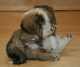 bild8