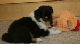 bild9