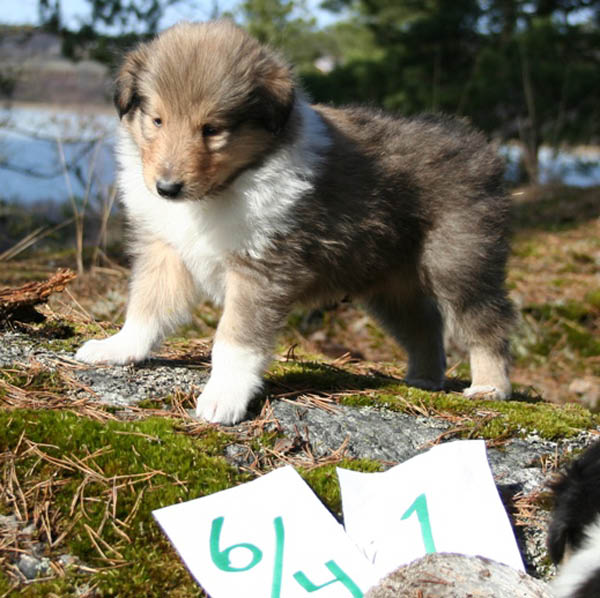 bild8