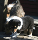 bild1
