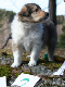 bild10