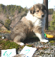 bild11