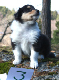 bild12