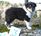 bild13