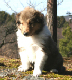bild14