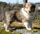 bild15