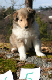 bild16