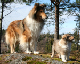 bild17