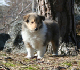bild18