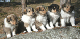 bild19
