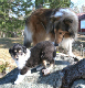 bild6