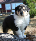 bild7