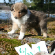 bild8