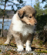 bild9