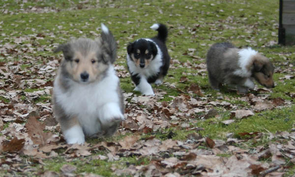 bild7