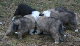bild2