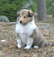 bild4