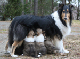 bild5