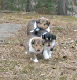 bild6